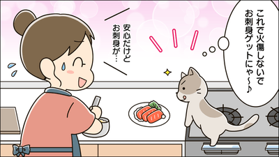ご使用のイメージ4