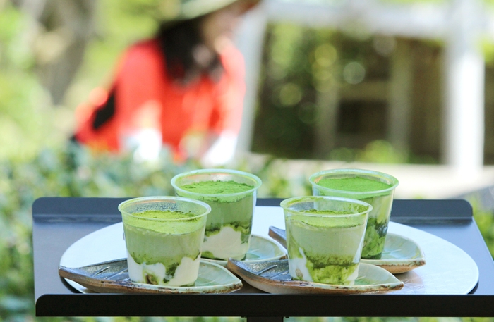 自分たちで茶の栽培から行っています