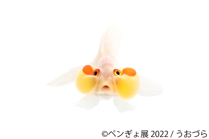 展示作品10