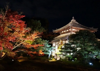 めぐるたび 新しい京都 鹿王院 夜間特別拝観実施日のお知らせ