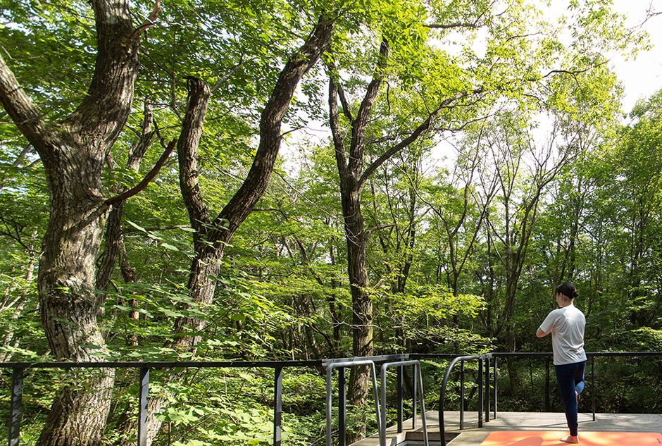 毎日開催される「森の朝ヨガ」慌ただしく過ごす現代人にはぴったりのリラックス法です