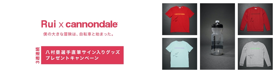 プレゼントキャンペーン