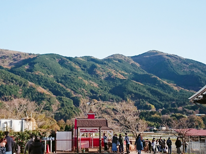 動物ふれあい広場2