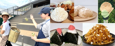 ＜道の駅常総＞ 関東一の米所“茨城”で《豊作大感謝祭2025》を開催！ 10月11日(土)～19日(日)は、まさに米尽くしの9日間！