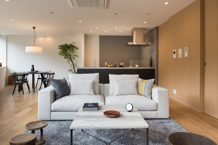 RE Apartment CASE006 リビング2