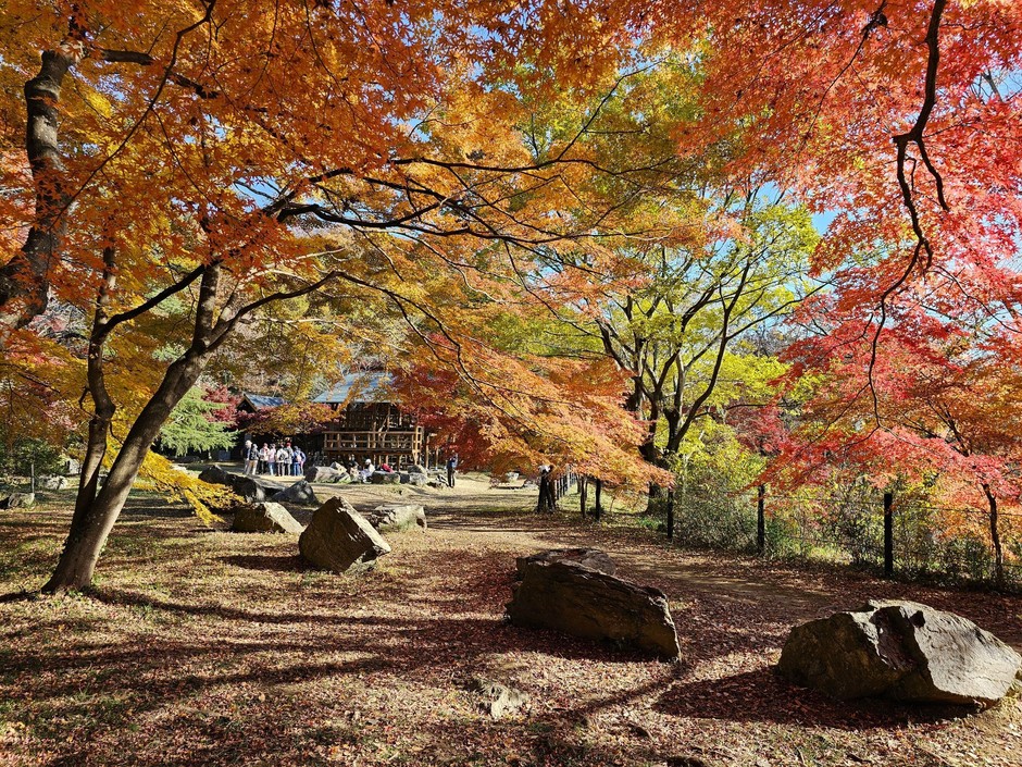 嵐山渓谷展望台