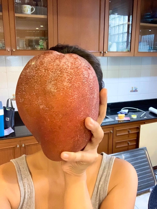 顔と同じくらいのサイズ！