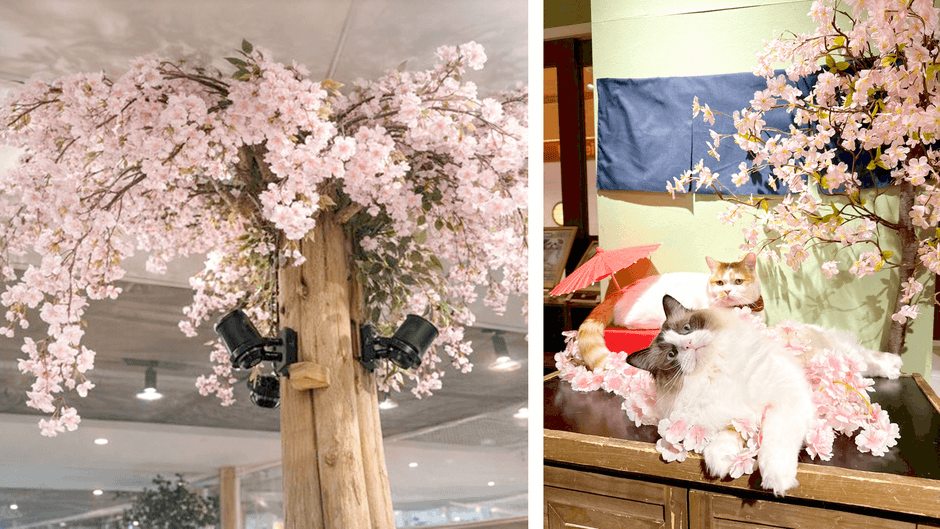 左)パークエリア(お花見Ver.) 右)特設フォトブース(1)