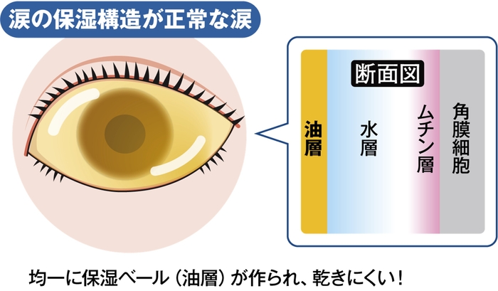 図7) 涙の保湿構造が正常な涙
