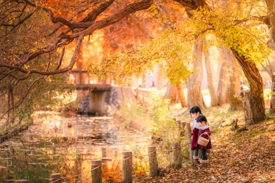 水元公園