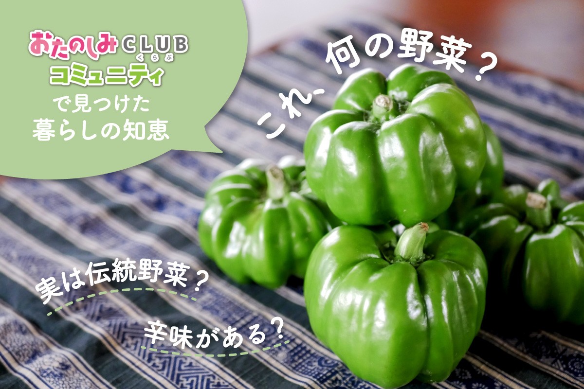 「『かぐらなんばん』って知ってますか?コミュニティで見つけた暮らしの知恵」のコラムを公開