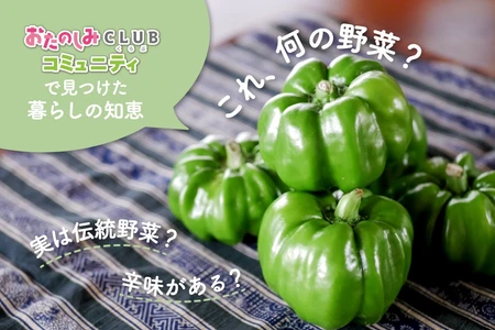 「『かぐらなんばん』って知ってますか？コミュニティで見つけた暮らしの知恵」のコラムを公開