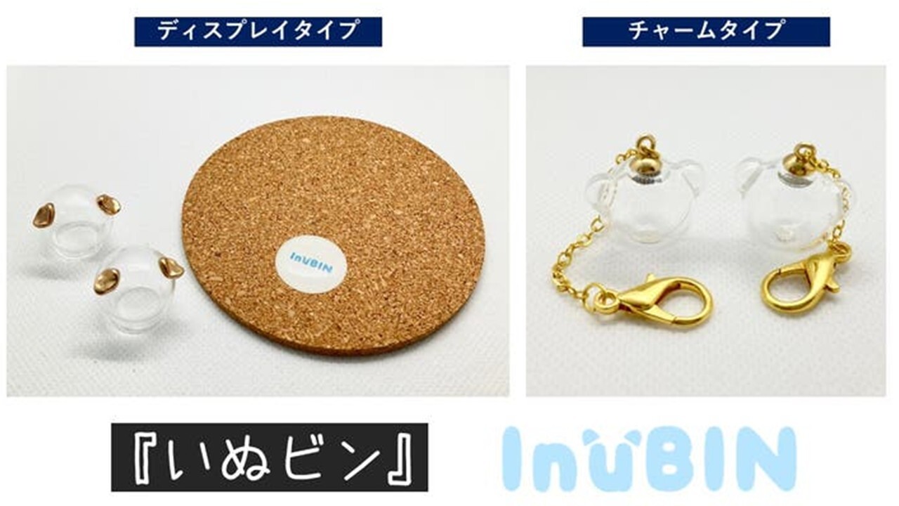 いぬビン Makuakeでプロジェクト実施中