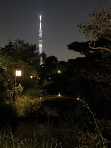 庭園から眺める東京スカイツリー