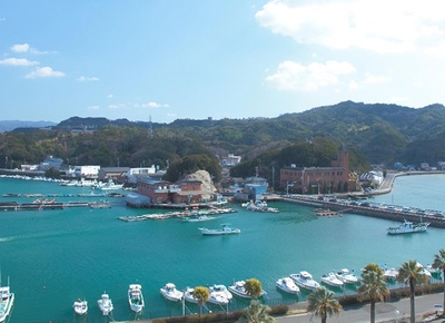 近畿大学水産研究所白浜実験場全景
