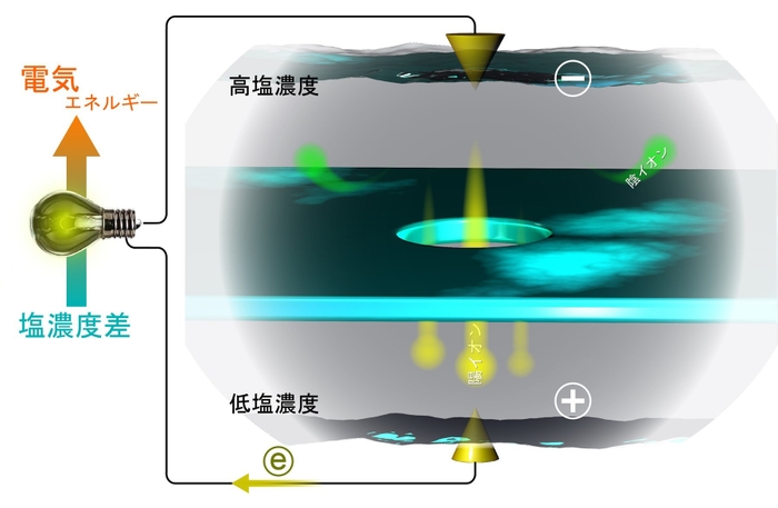 図2. ナノポアのイオン選択性を利用した逆電気透析発電。窒化シリコン表面は水中で負電荷を帯びるため、陰イオンはナノポア壁面で電気的な反発力を受ける。この効果のため、小さなナノポアになると、陰イオンは電気的な反発によりナノポアを通れなくなる。一方、陽イオンは反発を受けないため、ナノポアを通過できる。その結果、ナノポアに塩濃度差を与えると、陽イオンだけがナノポアを拡散移動することから、膜の間には電位差が生じる。