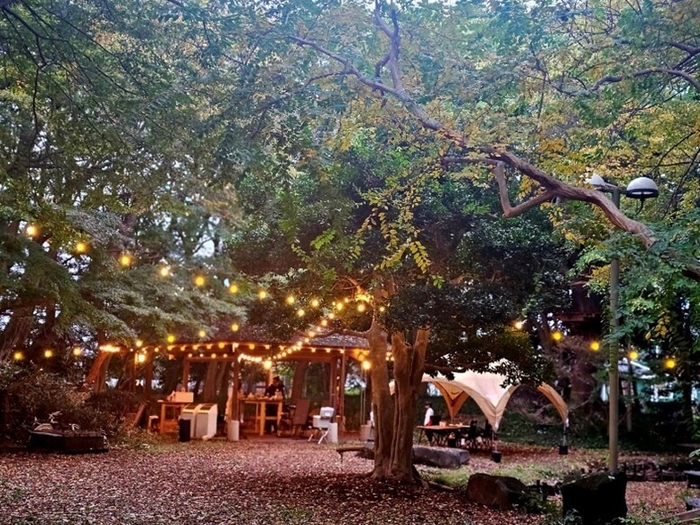 筑波ハム本社中庭BBQ会場 昼