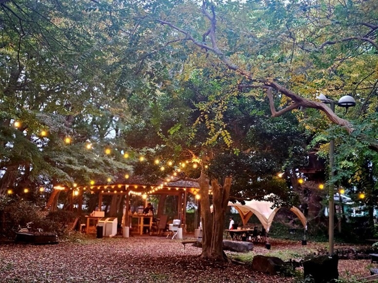 筑波ハム本社中庭BBQ会場 昼