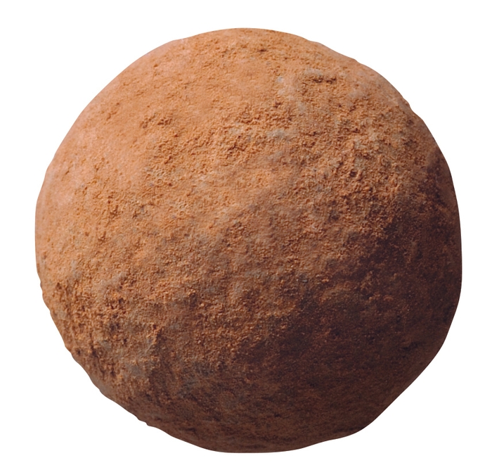 ブリリアントトリュフ香ばしアーモンド生地(1)