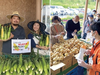 【道の駅木更津うまくたの里】大好評につき毎週開催決定！ ワンコインで新鮮な農産物を詰め放題！？『ウマウマ野菜イベント』