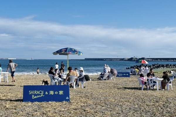 「SHIRAOI BEACHと海の家」2024年度開催の様子