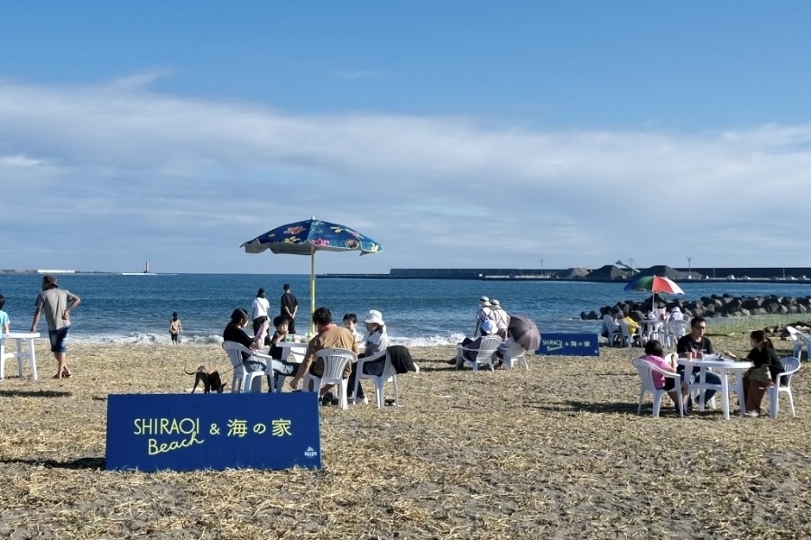 「SHIRAOI BEACHと海の家」2024年度開催の様子