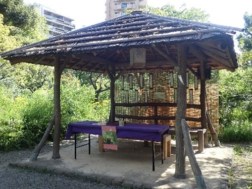 萩を詠む(昨年の様子)