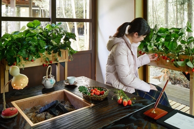 【界 川治】水車小屋_いちご