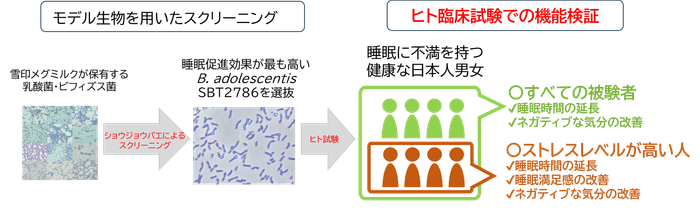 イメージ図のみ