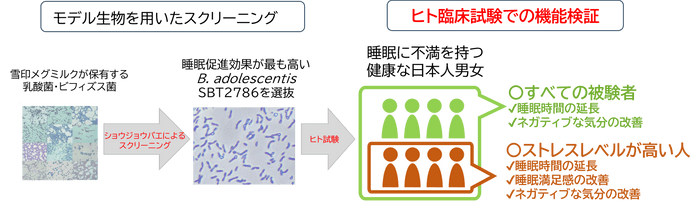 イメージ図のみ