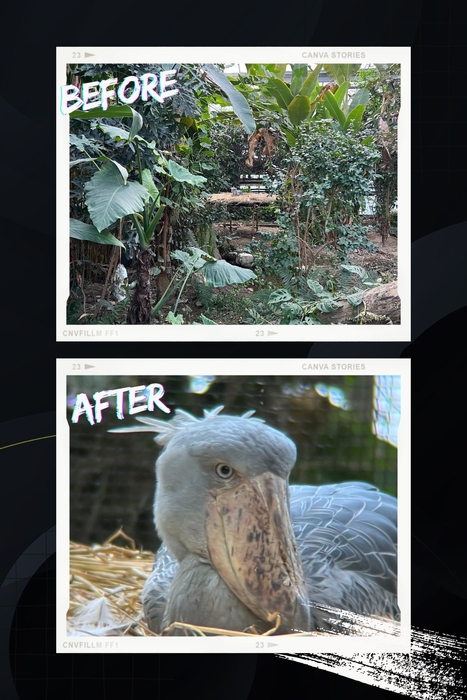 ビフォーアフター　4