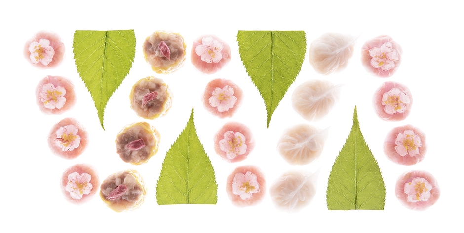 『桜プロモーション』