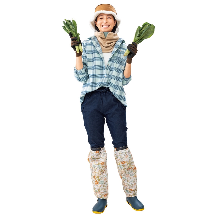 ラインチェック/ブルー