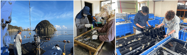 美しい海・里の恵み溢れる五島列島・上五島