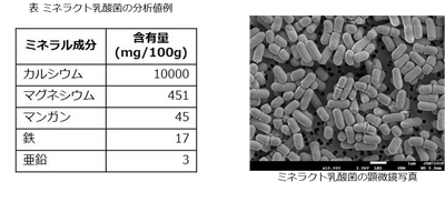 乳酸菌数、カルシウム含有量を規格化した 『ミネラクト乳酸菌』の販売を開始