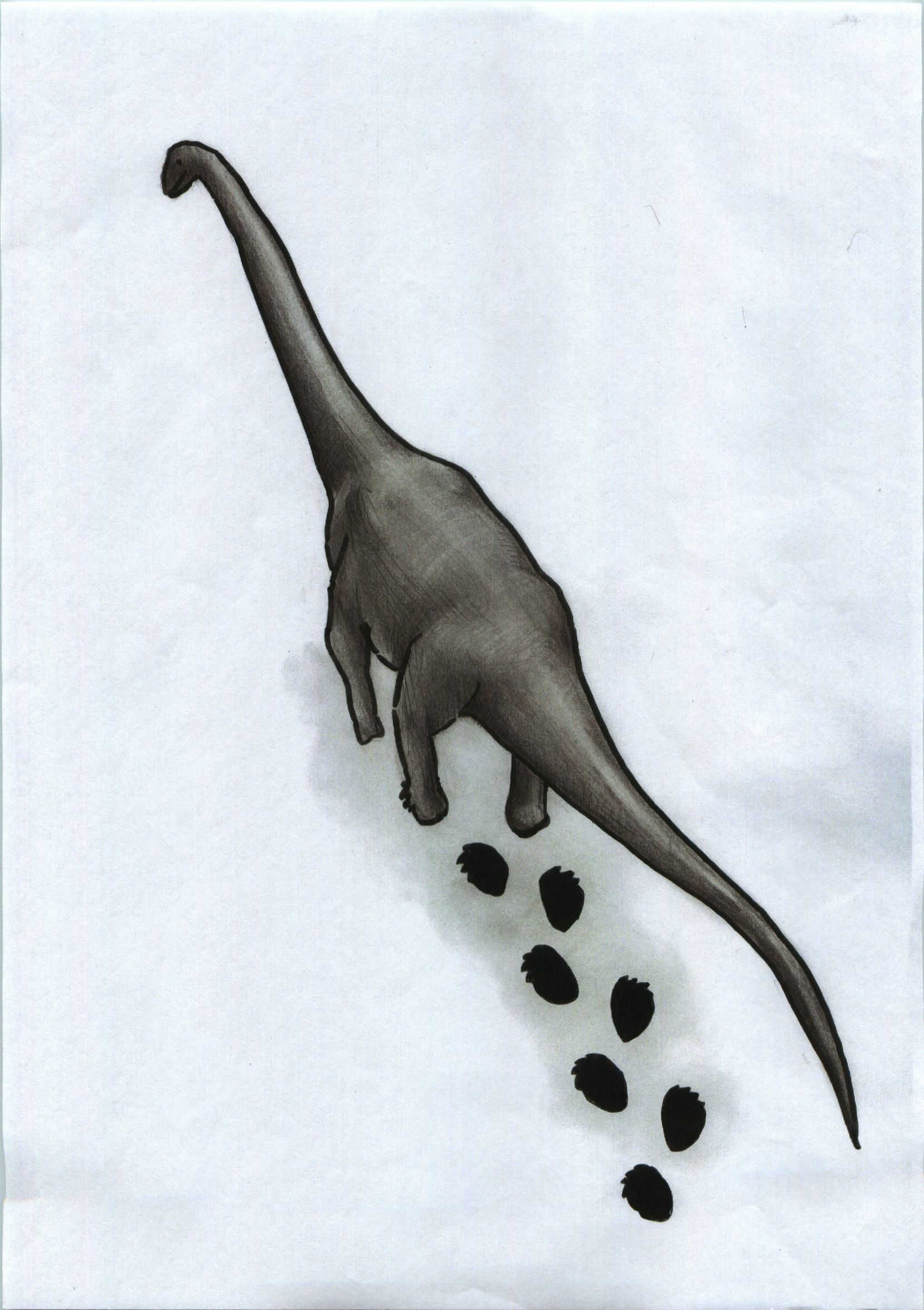 うわ でかい 岡山理科大に世界最大級の恐竜足跡化石のレプリカ 地球のメッセージ 見てみて タルボサウルスと並んで展示 Newscast