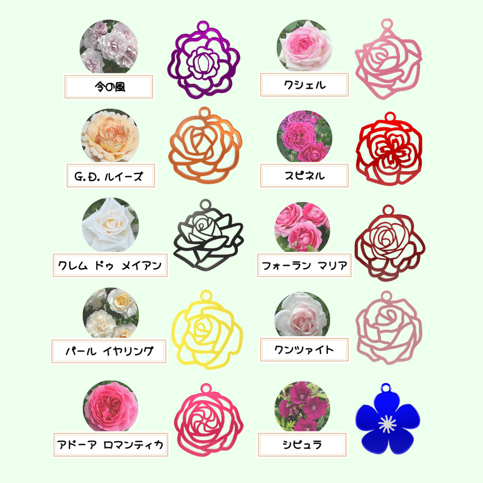 全10種のラインナップ