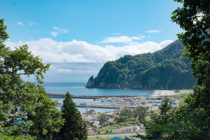 礼文華の風景