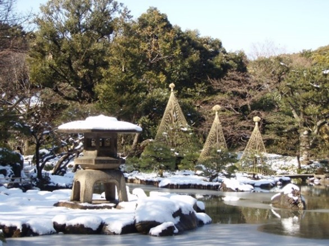 日本庭園の冬の風物詩・雪吊りの様子