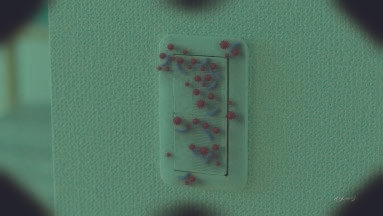 ウルトラハードクリーナー サニプロテクト「見えーるメガネ」篇(5)