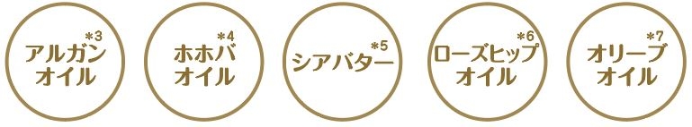 ＜乾燥を防ぐ5種の美容オイル＞（すべて保湿成分）