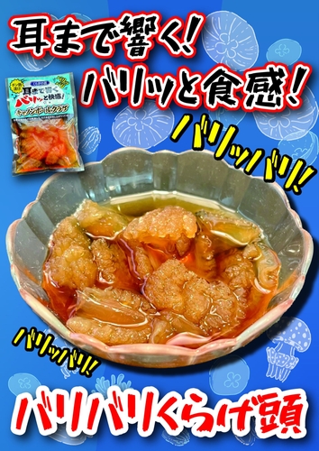 「バリバリくらげ頭」