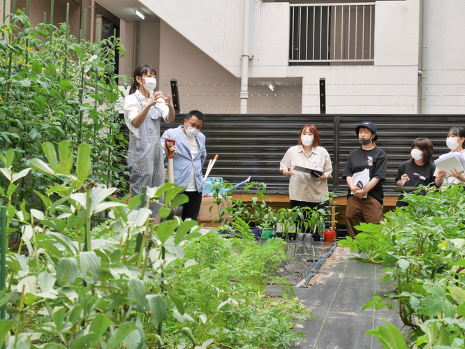 大阪キャリナリー校舎横に開園した畑での授業の様子