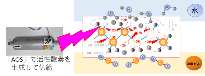 燃焼との違い（活性酸素熱分解）