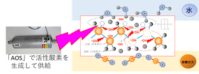 燃焼との違い（活性酸素熱分解）