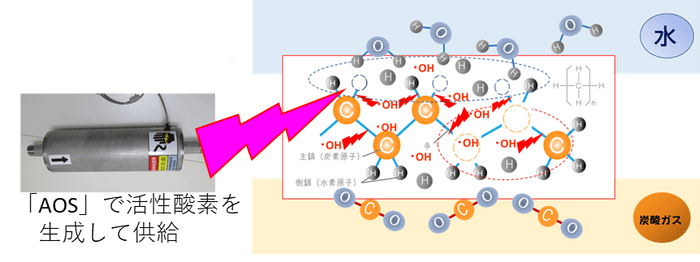 燃焼との違い（活性酸素熱分解）