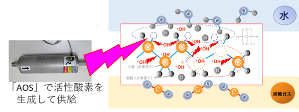 燃焼との違い(活性酸素熱分解)