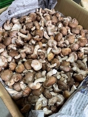 詰め放題・つかみ取り・すくい取り・刺し放題！等のイベントが盛りだくさん！