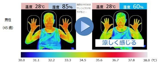 可視化検証試験の結果　男性