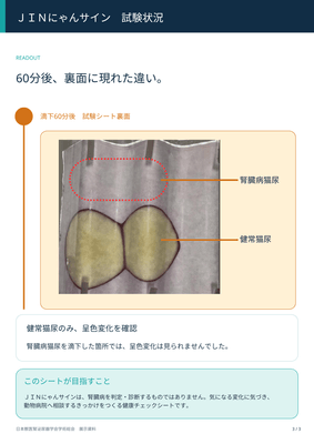 図:『JINにゃんサイン』滴下60分後におけるシート裏面の呈色変化比較(健常猫尿のみ呈色を確認)